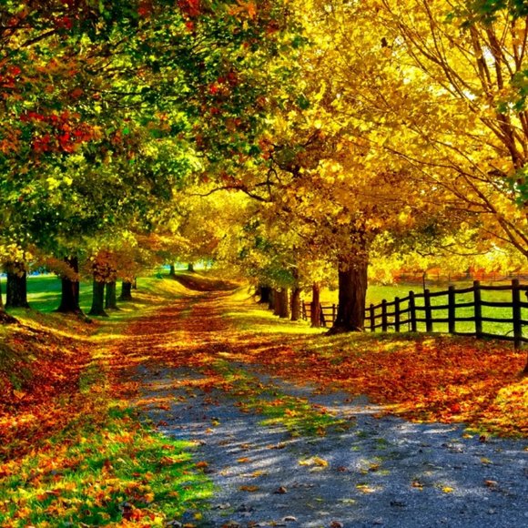 Meet your Posher, William - Picture 1 of 1